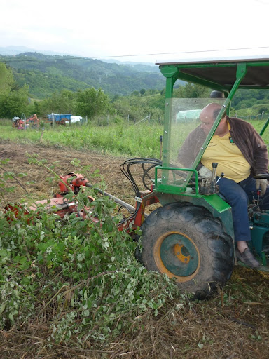 [BJR F-5000] Fotos del tractor de  derrrepente P1030967