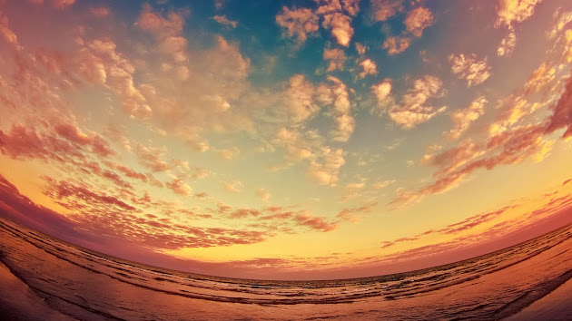 Cover photo