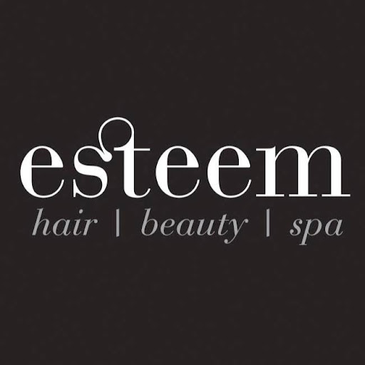 Esteem Hair Beauty Spa logo