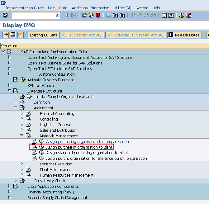 SAP Purchasing Org to Plant