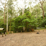 Gap Creek picnic area at the end of Bangalow Road in the Watagans (323186)