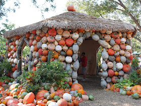 small building covered with pumpkins at the Dallas Arboretum