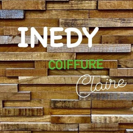 Inedy logo