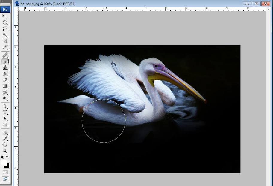  Hướng dẫn cách làm một tác phẩm nổi bật và cuốn hút bằng Photoshop  Huong-dan-photoshop-brush-nen-chim-bo-nong
