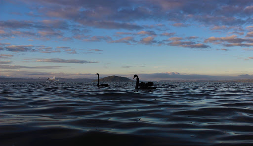 Lac Rotorua