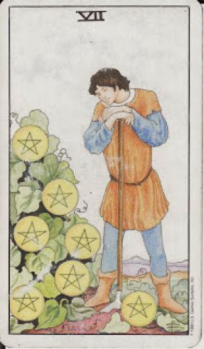 7 Seven Of Pentacles Vii