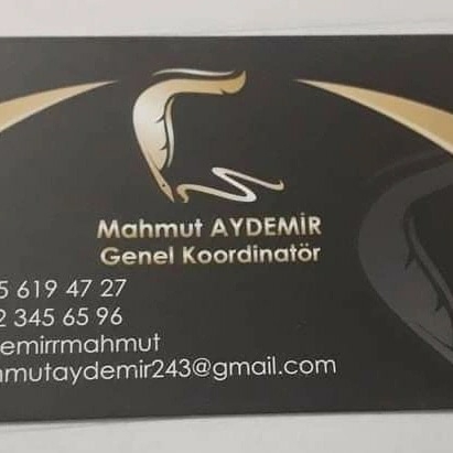 Mahmutaydemir17 logo