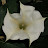 Maggie Dwyer avatar image