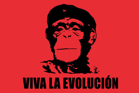 BT-vivalaevolucion-gallery-2756.jpg