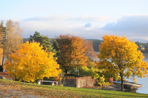 DSC_0723.JPG