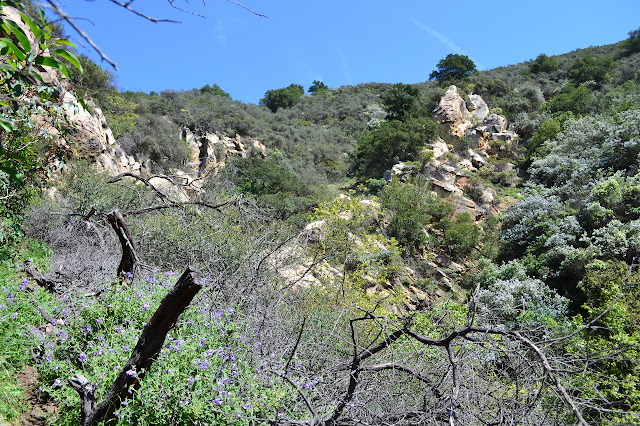 upper sections of Hot Springs Canyon