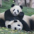 Ethan Park avatar image