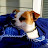 Lori Lowe avatar image