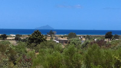 Photos of Uretiti Beach DOC Campsite