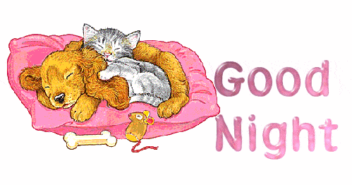 1001 ảnh động CHÚC NGỦ NGON đẹp tuyệt vời, Good Night GIF | IINI Blog