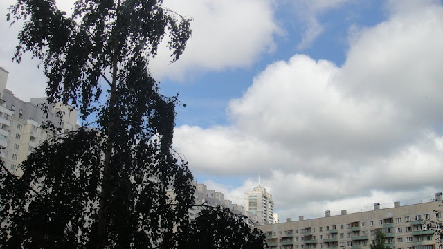 коты и ленин