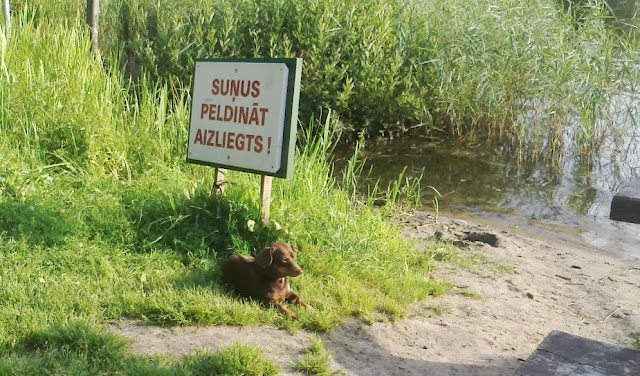 Viņš jau arī nepeld