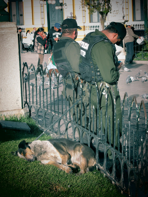 Cops & Dog, La Paz