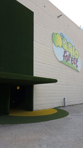 The Magic Forest