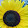 Claudia Sahm Claudia Sahm's profile photo
