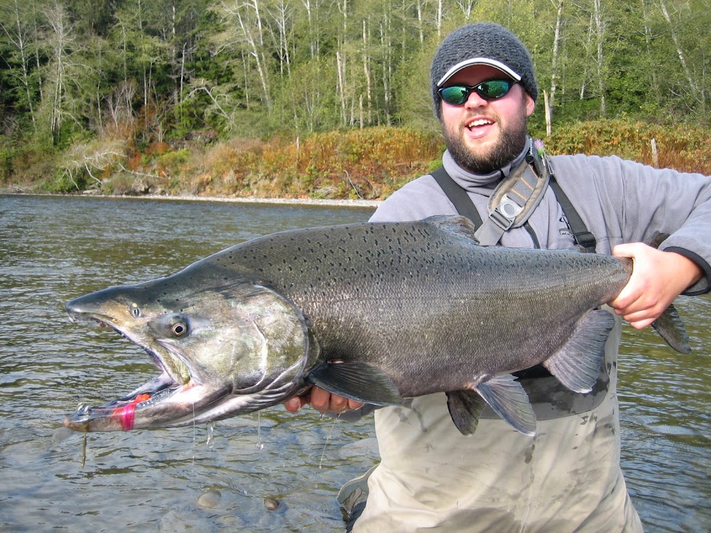 Big and ugly Washington State King Salmon, swinging in the Olympic  Peninsula on the Queets river - low flows. : r/flyfishing