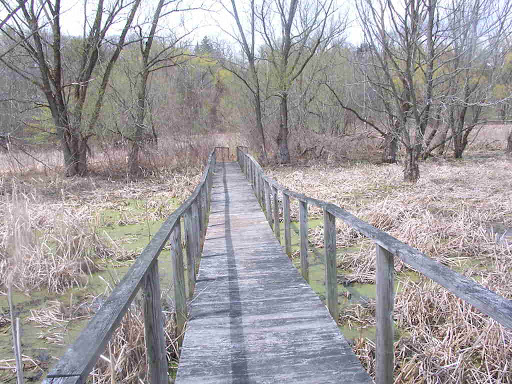 Nature Preserve «Great Flats Nature Trail», reviews and photos, W Campbell Rd, Schenectady, NY 12306, USA