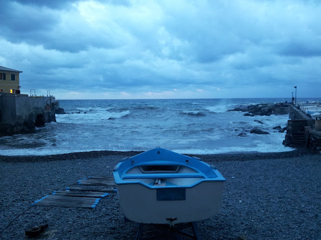 Cover photo