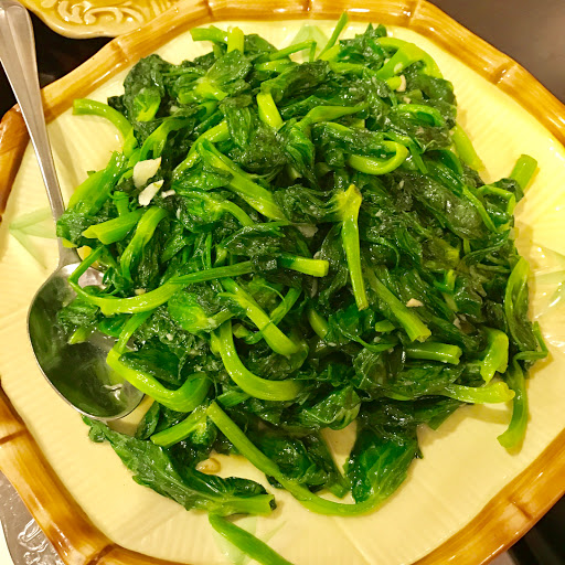 Chinese Restaurant «Qingdao Garden», reviews and photos, 2382 Massachusetts Ave, Cambridge, MA 02140, USA