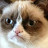 Nintendo_ Cloke review