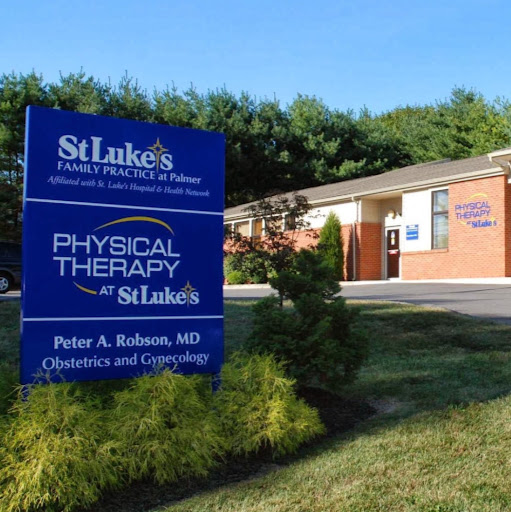 Physical Therapy at St. Luke's - Palmer logo
