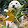 Victoria Bermudez Victoria Bermudez's profile photo