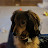 Tim Kienbaum avatar image