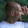 Jay G. Jay G.'s profile photo