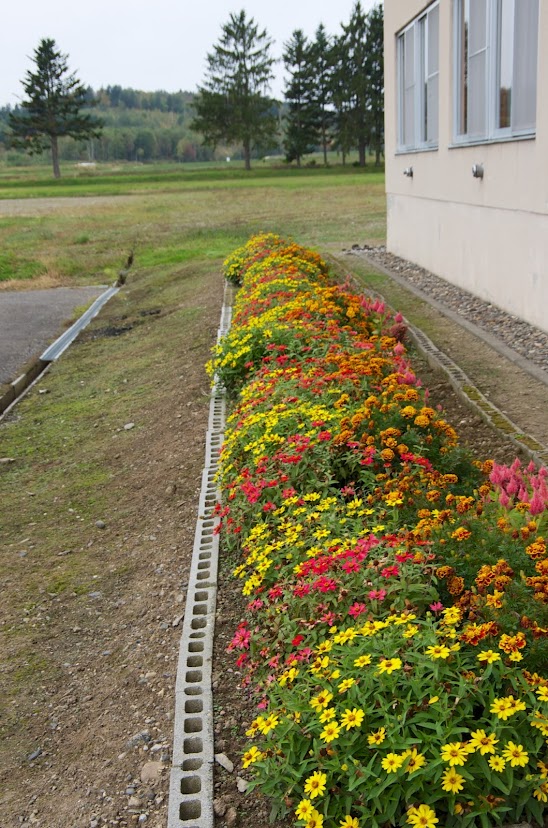 会館を彩る花