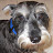 ronfbat avatar image