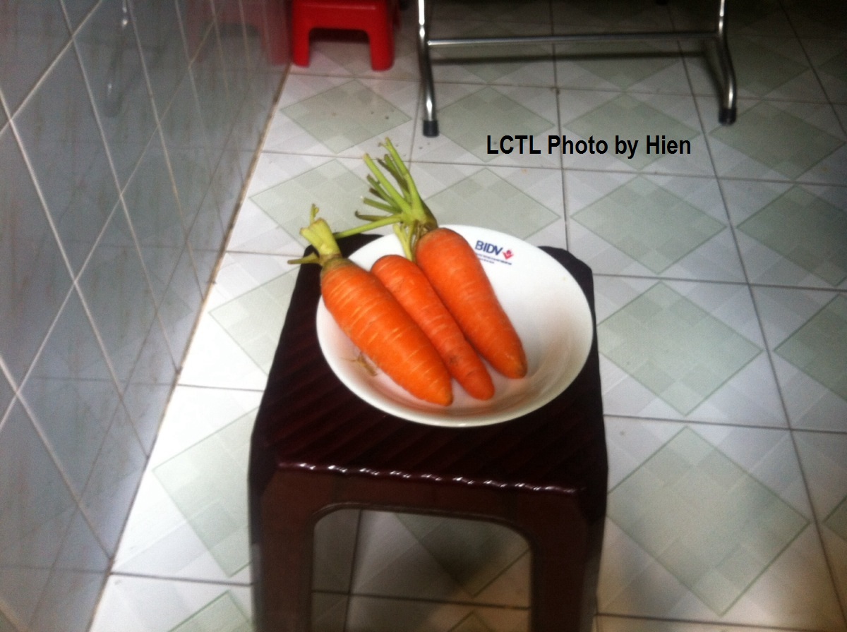 carrots.jpg