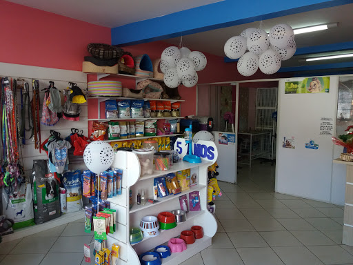 Toca Dos Bichos Pet Shop, 650, Av. Irineu Bornhausen, 532 - Palmital, Chapecó - SC, Brasil, Loja_de_animais, estado Santa Catarina