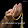 Zelan Wahab Zelan Wahab's profile photo