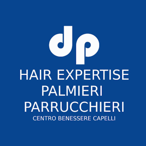 Hair Expertise Palmieri Parrucchieri Torino logo