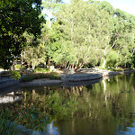 Black Duck pond in the Carnley Reserve in the Blackbutt Reserve (399289)