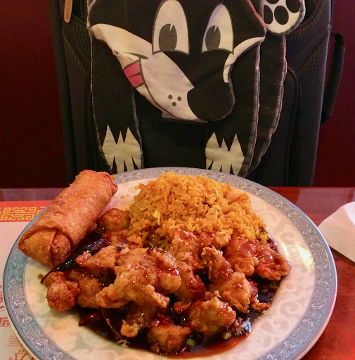 Chinese Restaurant «Shanghai Express Chinese Food», reviews and photos, 300 E Greentree Rd #15, Marlton, NJ 08053, USA