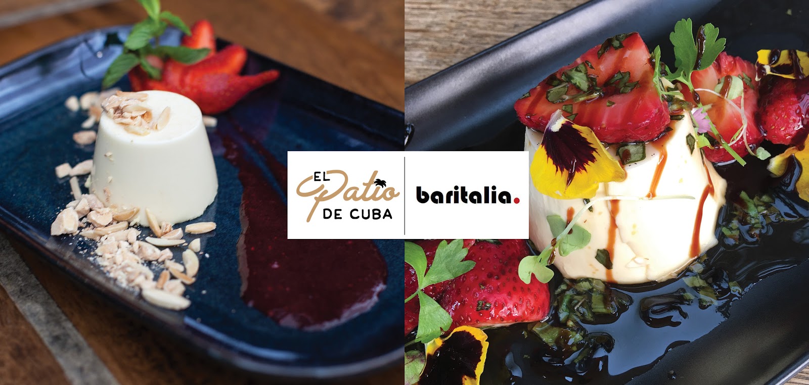 Panna Cotta Panna Cotta