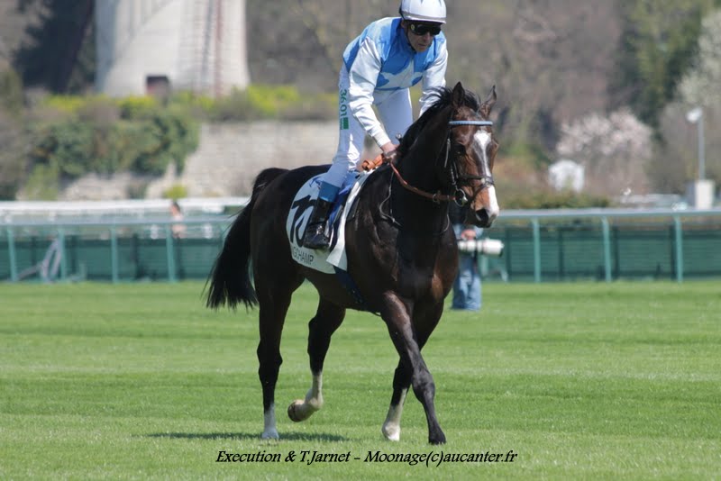 Photos Longchamp 6-04-2015 IMG_7587
