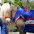 Amos the Wonder Horse