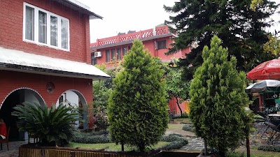 Photos of Hotel Blue Horizon