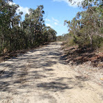 The Oaks Fire Trail near the Woodford end (74460)