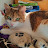 Cornelia Meister avatar image