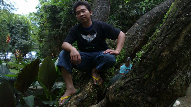 Cover photo