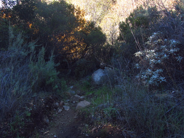 spur trail marked by a cairn