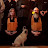 BuddhistTemple ofToledo